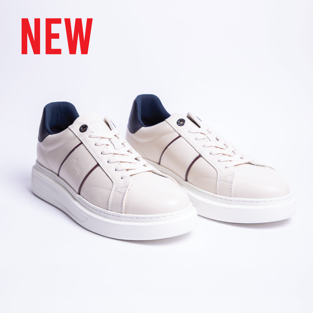 HARMONT & BLAINE SHOES