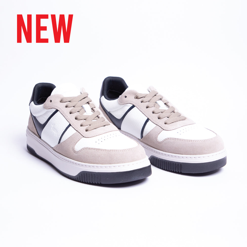 HARMONT & BLAINE SHOES