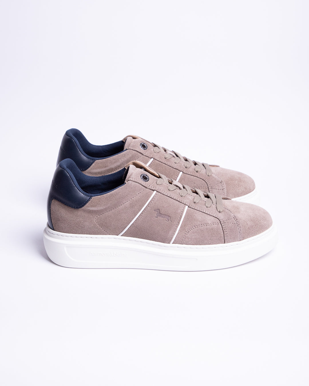 HARMONT & BLAINE SHOES