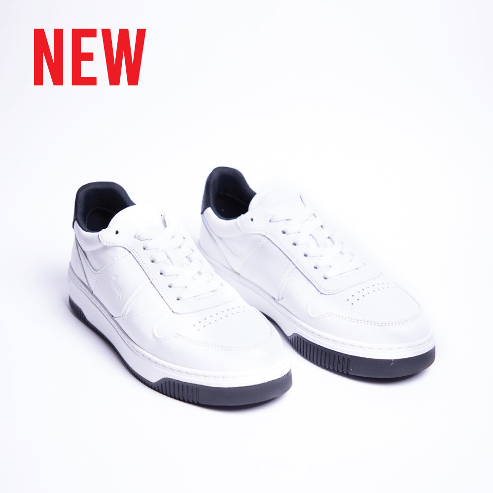 HARMONT & BLAINE SHOES