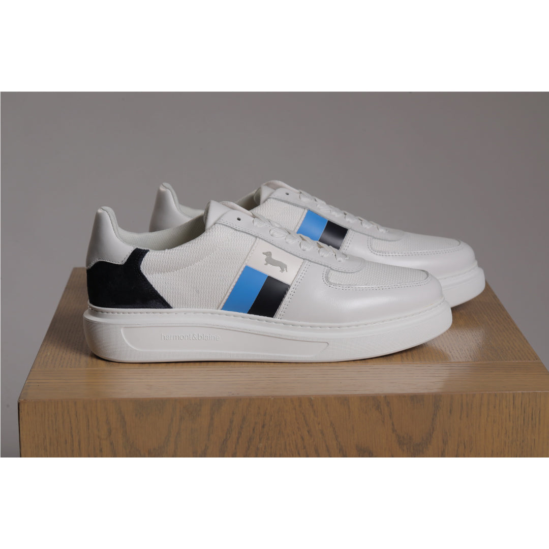 Harmont and Blaine shoes