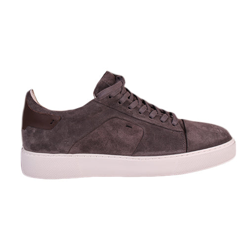 Pedro shoes