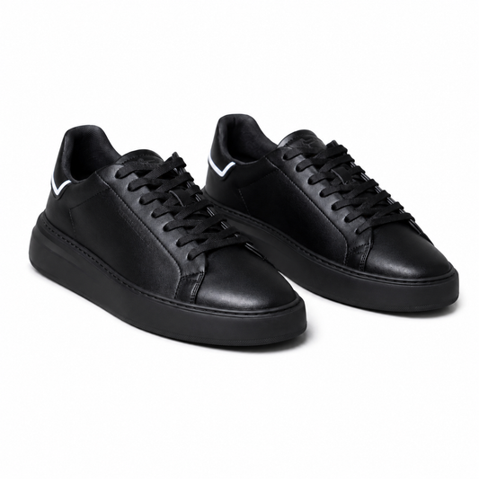 HARMONT & BLAINE SHOES